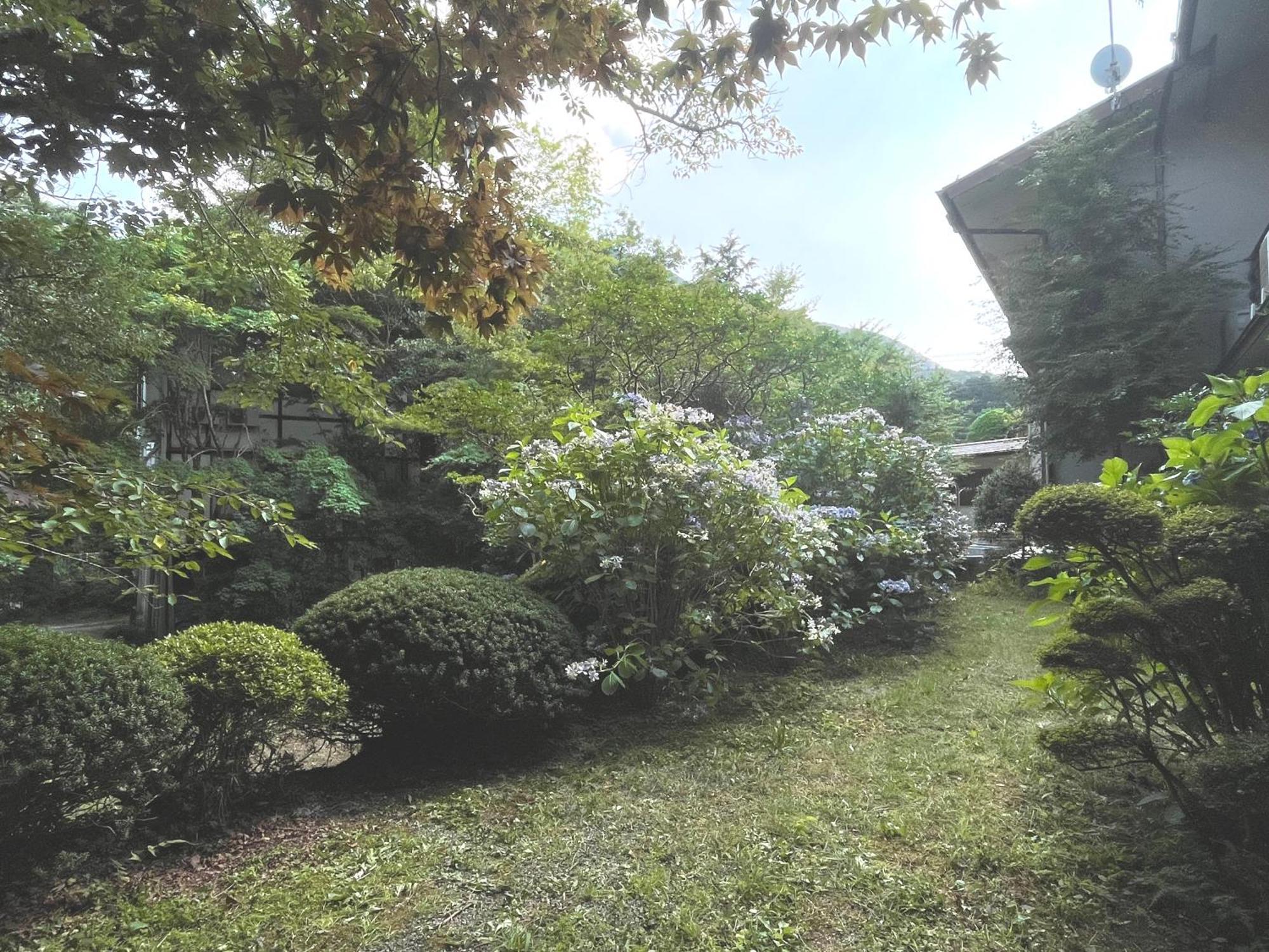 Mitake Hotel Hakone Exterior photo